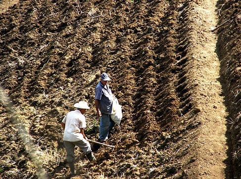 Agricultores ecológicos de tiempo libre