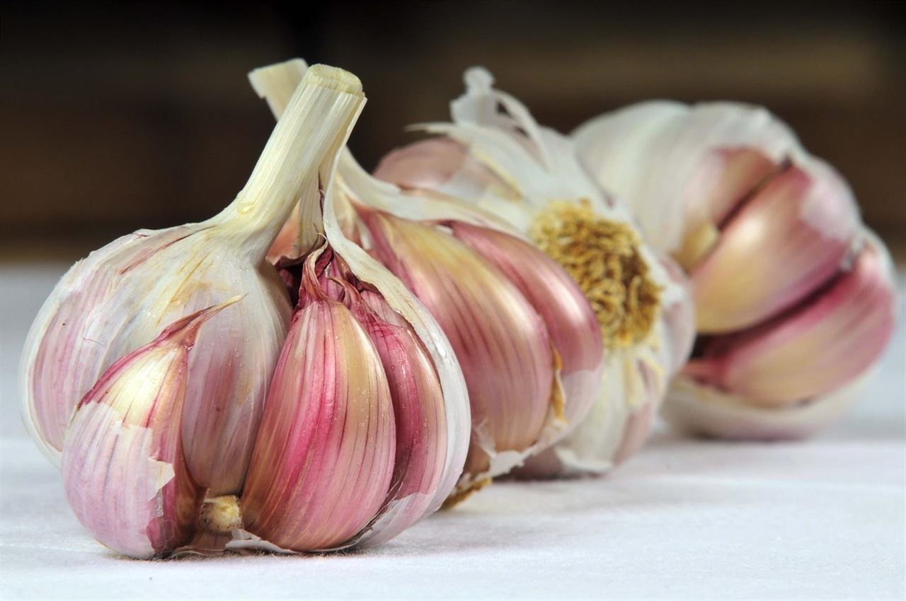 Beneficios del ‘ajo morado’