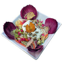 MACROBIÓTICA Tiempos modernos