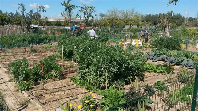Sevilla sortea en el Parque del Alamillo nuevos huertos agroecológicos