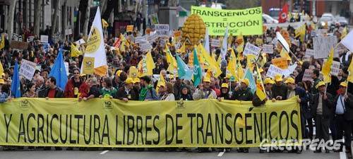 Mientras en España la sociedad civil se moviliza