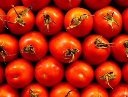 La agricultura ecológica exporta el 80% de su producción ante la reducida demanda en España