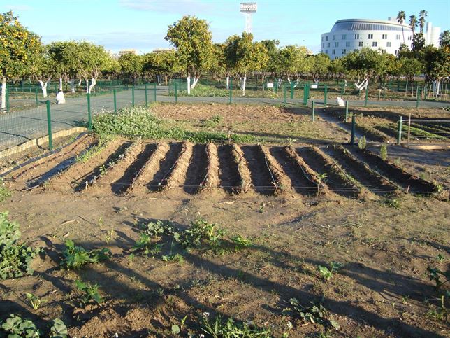 Abierto el plazo para optar a 41 huertos agroecológicos en el Alamillo