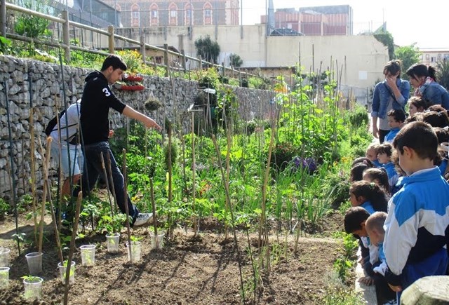 Guía para incentivar la puesta en marcha de huertos escolares
