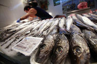 Cerca del 40% de las merluzas están mal etiquetadas