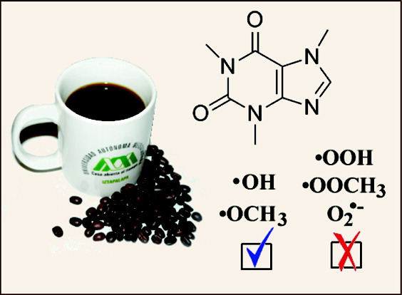La química en su taza de café: nuevas evidencias sobre el poder antioxidante de la cafeína