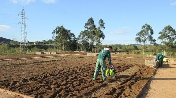 Formación para jóvenes malagueños sobre huertas urbanas con técnicas ecológicas