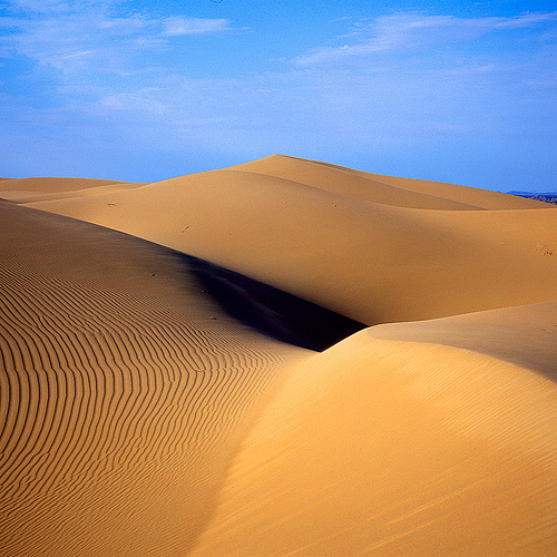 Agricultura en el desierto