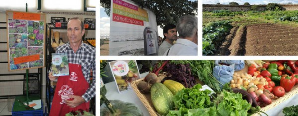 Existe un nicho real de empleo en la agricultura ecológica