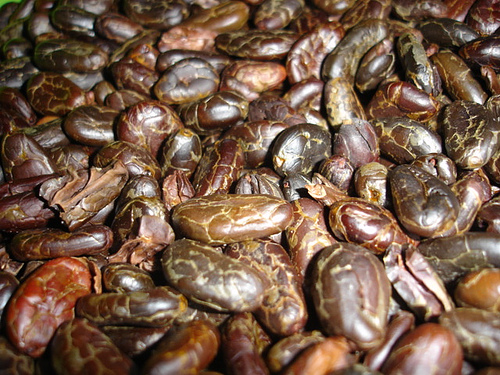 Cacao ecológico y de comercio justo