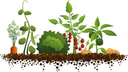 Apuesta por la agroecología como alternativa al modelo agrario en Castilla-La Mancha