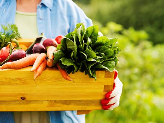 Ponte al día en el mundo ‘bio’ con nuestro ‘Especial Alimentos Ecológicos 2016’