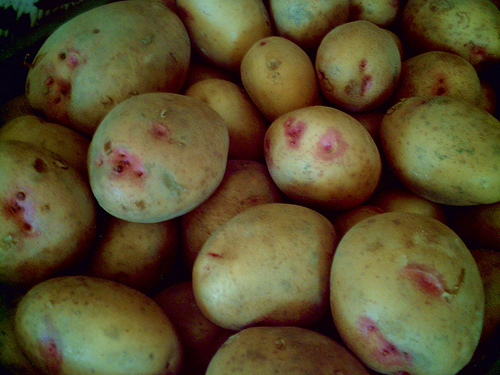 Qué fue de aquéllas patatas