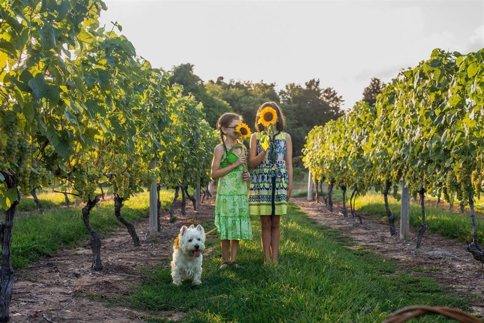 Apúntate al Huerting