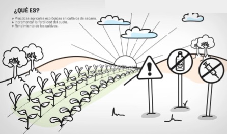 Desarrollo de prácticas agrícolas orgánicas (ver VIDEO)