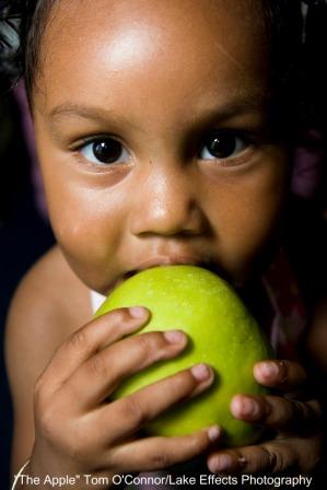 Somos lo que comemos