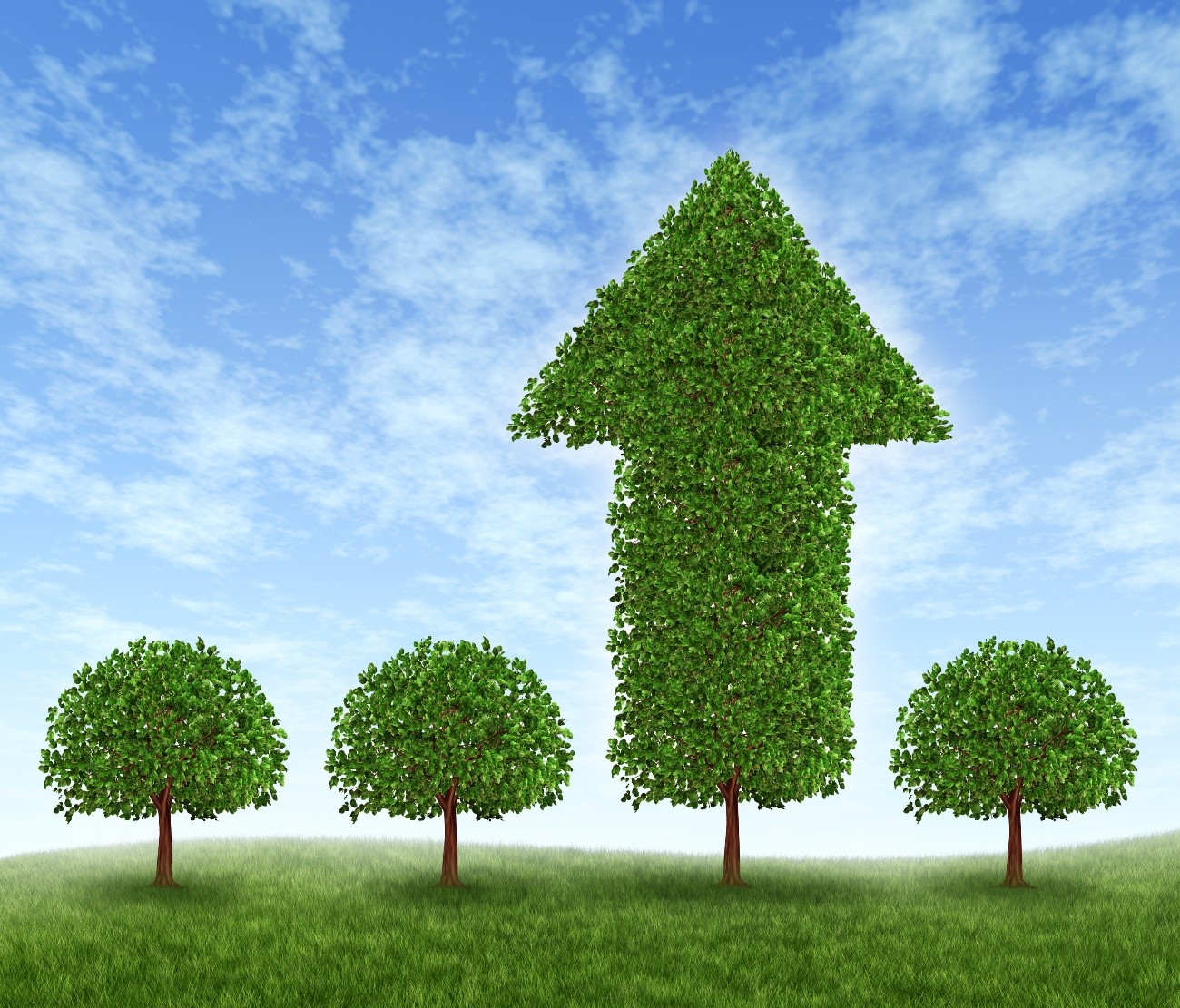 Cuatro insólitas tecnologías verdes