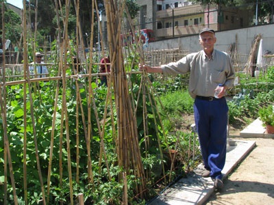 De la ciudad verde a la ciudad fértil