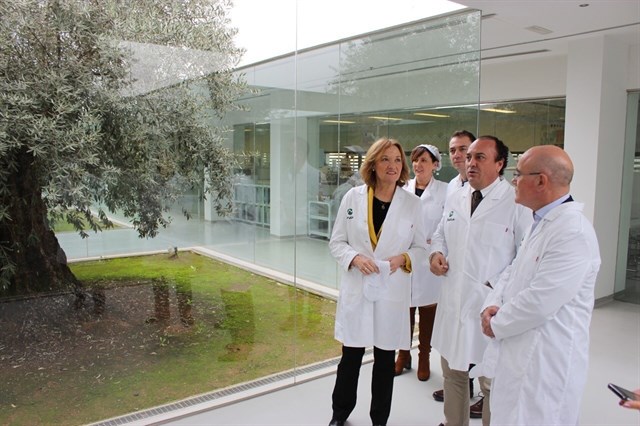 Apoyando el olivar ecológico en Andalucía