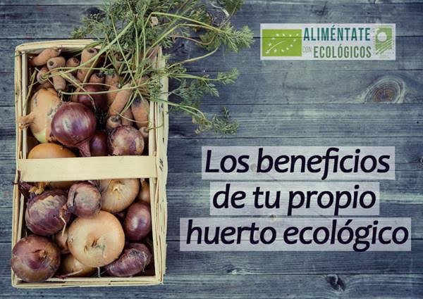 Ventajas de cultivar tu propio huerto ecológico
