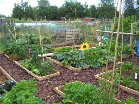 Arranca el proyecto Red de Huertas Agroecológicas de Zaragoza