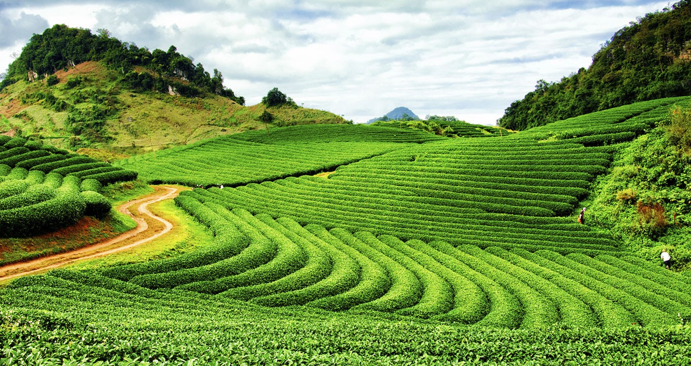 Ganadores del Programa de Innovación Ambiental de Stanford