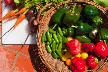 Por qué es esencial contar con diversos cultivos