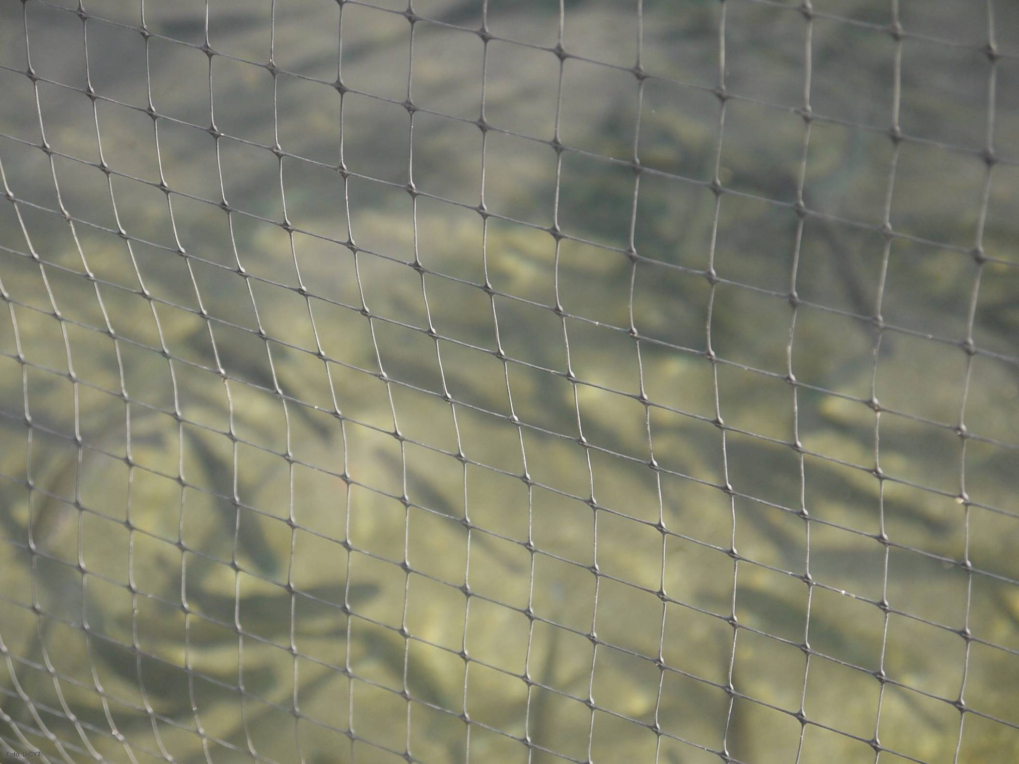 Castilla y León es la primera región productora de trucha del país