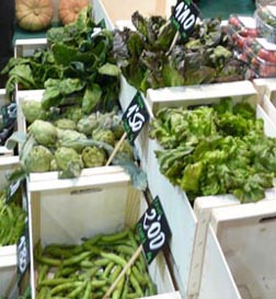 LUR DENOK Movimiento "bio" euskaldún