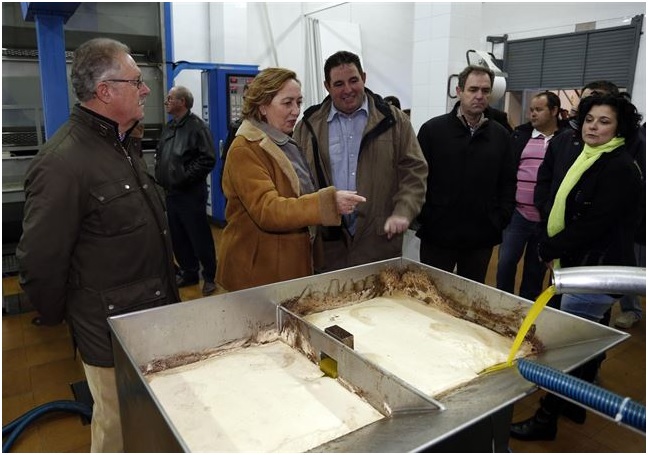 Castilla – La Mancha exime a olivareros ecológicos del cumplimiento de comercializar para cobrar las ayudas