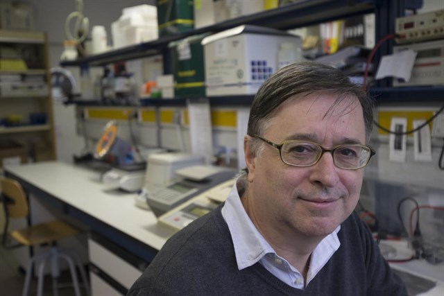 Omega-3 ‘clave’ contra la obesidad