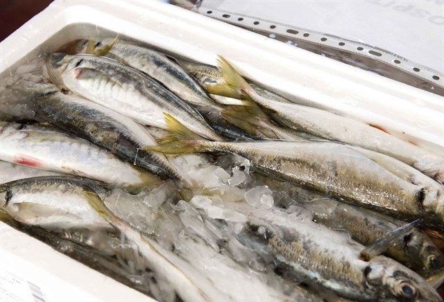Innovadora herramienta para minimizar la exposición a contaminantes químicos derivados del consumo de pescado