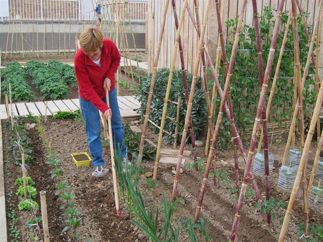 Zaragoza impulsa una red de ciudades por la agroecología