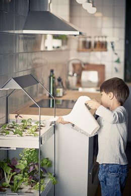 Ikea venderá productos saludables y sostenibles de productores locales en sus tiendas