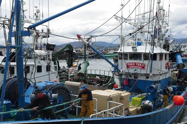 La pesquería de sardina del Golfo de Vizcaya entra en proceso de evaluación MSC