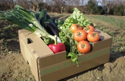 Castilla – La mancha apuesta por la agricultura ecológica