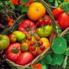 Andalucía ‘saca pecho’ con el liderazgo de su sector ecológico