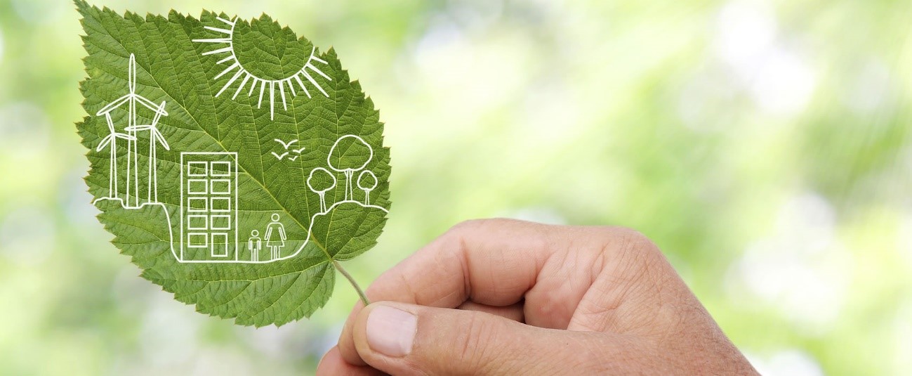 3 innovaciones que cuidan al Medio Ambiente