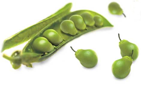 Fundación Antama presenta una nueva guía sobre OMGs en la UE