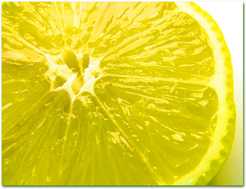 Una Visión de los alimentos y la agricultura ecológica en 2025