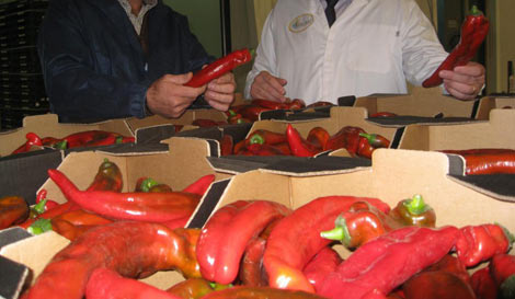 Todo listo para el III Plan Andaluz de la Producción Ecológica