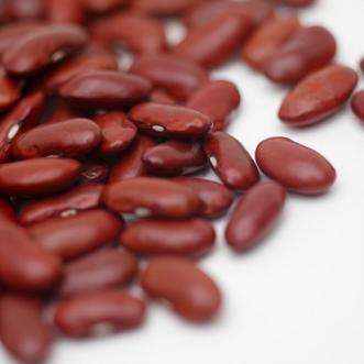 Ecomanjar venderá este verano alubias y lentejas ante las expectativas de la legumbre ecológica en Castilla y León