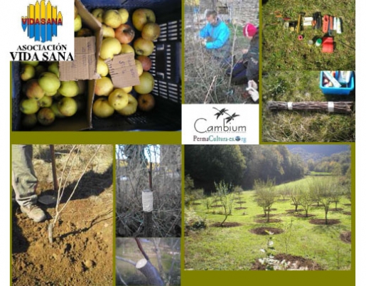 Curso de fruticultura ecológica en la Garrotxa