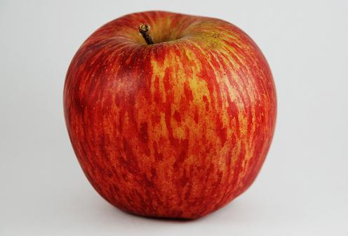 Holanda estudia implantar etiqueta CO2 en los alimentos