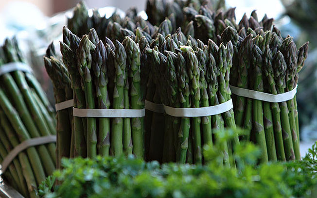 Un vivero español consigue el primer Certificado Ecológico para la planta del espárrago