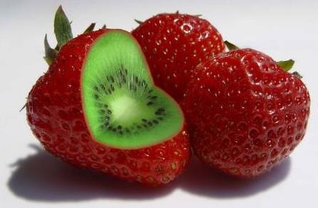 Campaña contra los transgénicos