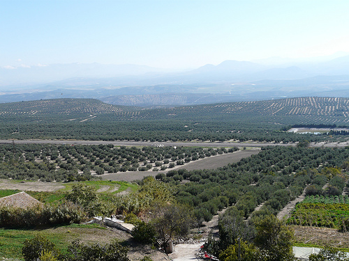 El MARM edita el manual "Buenas prácticas en producción ecológica