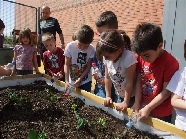 Pamplona impulsa un programa de huertas ecológicas en los colegios de Rochapea y Sanduzelai