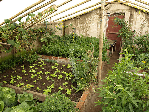 Una agricultura que busca fundirse con el entorno en Almería