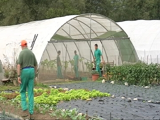 FSC Inserta imparte en Tarragona un curso para personas con discapacidad de agricultor ecológico